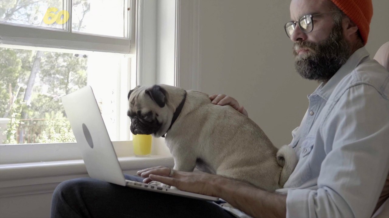 Pets Bring Nothing but Joy For So Many People