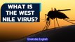West Nile Virus infections rise in Russia: All you need to know | Oneindia News