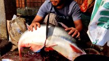 Amazing Pangas Fish Cutting Live in Asian Fish Market.Expert Fish Cutting Skills In BD Fish Market I