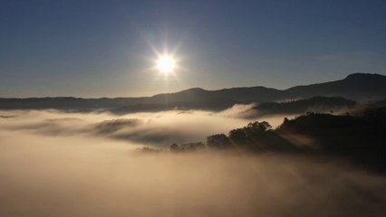 Relaxing Nature music for calmness and better sleep