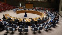 UNSC adopts resolution on Afghanistan, calls for territory not be used to shelter terrorists