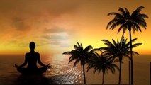 Relaxing Music to Calm The Mind : Yoga Music, Meditation, Zen, Study, Sleep & Stress Relief Music  by Amcas Relax Music