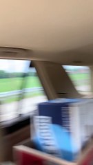 Escaped Racehorse Runs Down Expressway