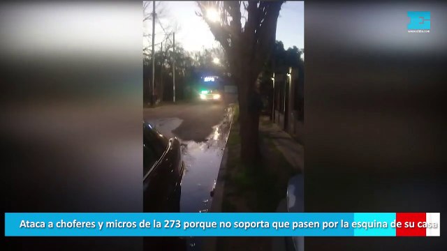 Ataca a choferes y micros de la 273 porque no soporta que pasen por la esquina de su casa