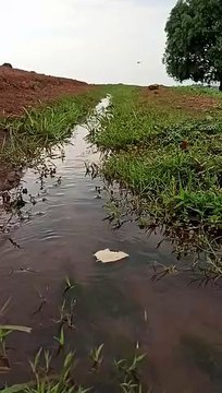 अजब-गजब: यहां चढ़ान की ओर बहता है पानी, न्यूट्रल गाडिय़ां खुद चलती हैं चढ़ाई की ओर