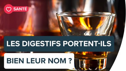 L'alcool aide-t-il vraiment à la digestion ? | Futura