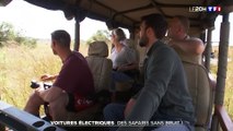 TF1 Le JT - Des safaris en voiture électrique en Tanzanie
