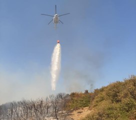 Tavaklı'daki orman yangını kısmen kontrol altında