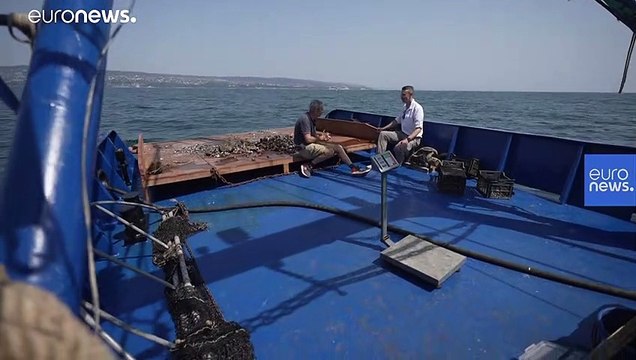 Серьёзные проблемы Чёрного моря и путь их решения