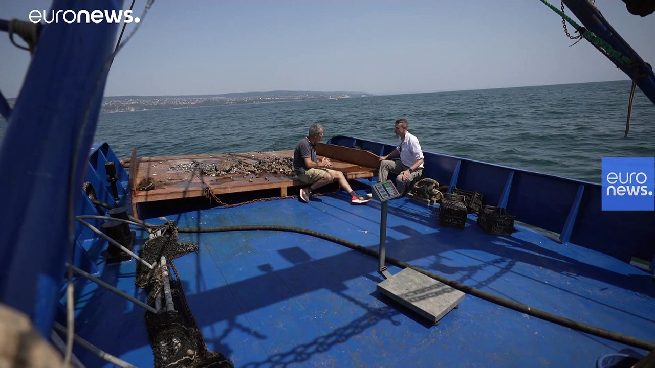 En mer Noire, la coopération scientifique rend la pêche plus durable