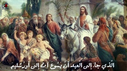 أحد الزعف - بصوت المعلم ابراهيم عياد