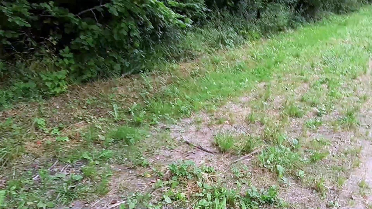 Les bords du canal d'Orléans à vélo entre Montargis et Orléans