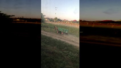 Spooked Horse Hits Train