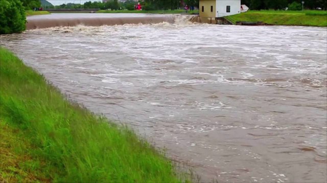 Tennessee Animal Shelter in Desperate Need of Foster Homes After Historic Flooding