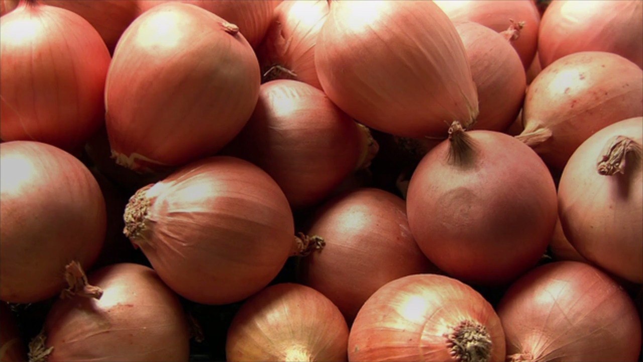 How to Store Onions