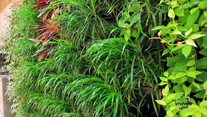 PROGRAMA IMÓVEIS INFOCO DO DIA 21 08 2021