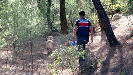 Düğünden sonra kaybolan kadın için aramalar devam ediyor