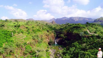 Home Flavors  |  نكهات الوطن