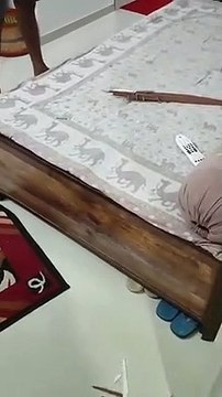 दिनदहाड़े दो फ्लैट से लाखों रुपए व आभूषण चोरी