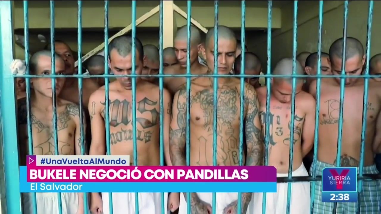 Nayib Bukele habría negociado con pandillas como los Mara Salvatrucha