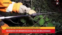 Incendios en reservas ecológicas Bolivianas