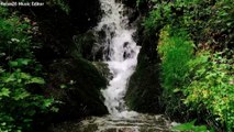 Waterfall Jungle Sounds, Beautiful Nature Sounds, Relaxing, Sleep, Meditation, Healing, Study, Relax