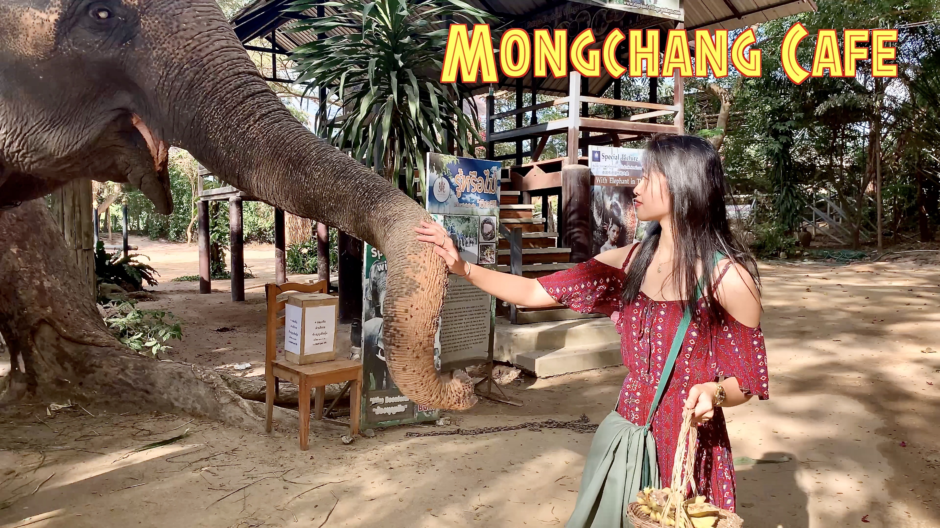 Zoo Cafe in Pattaya Thailand ~ Mongchang Cafe