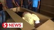 Sri Lanka produces cardboard coffins amid Covid surge