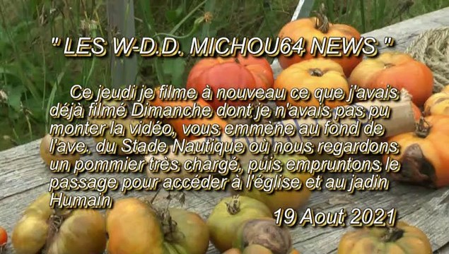 LES W-D.D. MICHOU64 NEWS - 19 AOUT 2021 - PAU - QUARTIER TRESPOEY LES NOUVEAUTÉS DU JARDIN HUMAIN DES FIORETTI