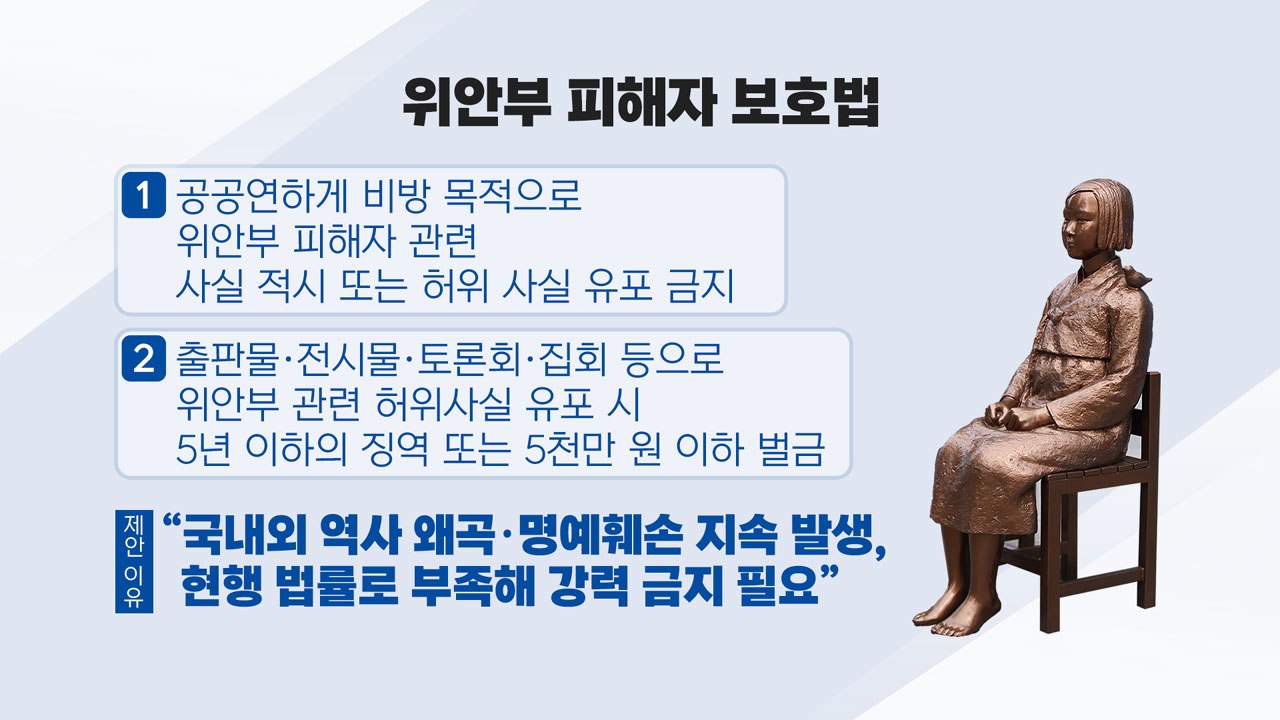 [앵커리포트] "윤미향 보호법" vs "당론 아냐"...법안 내용은? / YTN