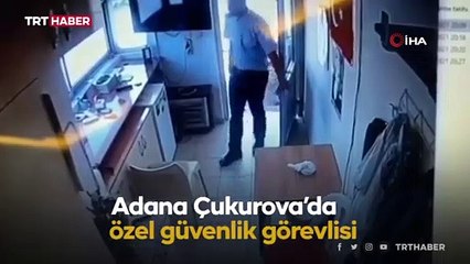 Site görevlisi köpeğin üzerine sıcak su döktü