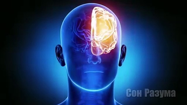 Сон нужен для её подзарядки вашей батареи - МОЗГА | Сон Разума #еслибынеувидел #неповерилбы #квантовый