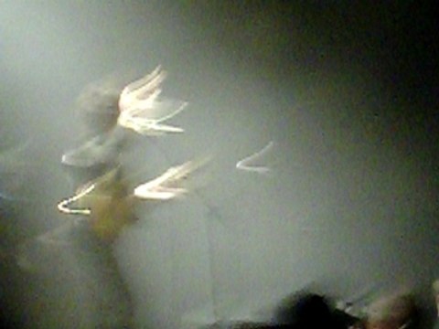 BB Brunes Coopé de Clermont Ferrand