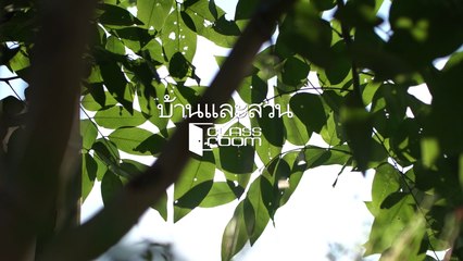 บ้านและสวน classroom : ผักนอกปลูกง่าย ทำได้ทุกฤดู