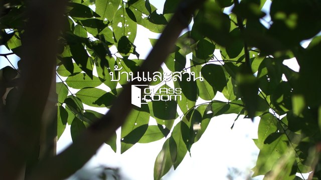 บ้านและสวน classroom : ผักนอกปลูกง่าย ทำได้ทุกฤดู