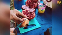 Tasty Anar (Pomegranate) Juice most popular  - Indian Street Food