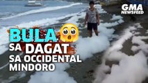Bula sa dagat sa Occidental Mindoro | GMA News Feed