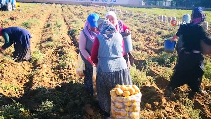 Aksaray 7 bitkisel ürünle Türkiye’de ilk 10’da