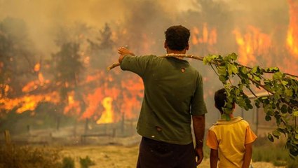 10 ilde yangınlardan zarar gören üretici ve yetiştiricilere 9,5 milyon lira hasar ödemesi yapıldı