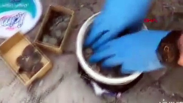 Ankara'da Roma, Bizans ve İslami dönemlere ait olduğu tespit edilen 2 bin 30 tarihi sikke ele geçirildi