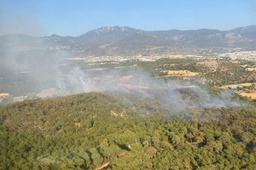 SEYDİKEMER'DEKİ ORMAN YANGININDA 20 HEKTAR ALAN ZARAR GÖRDÜ