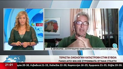Ο Αντιπρόεδρος Πανελλήνιας Ένωσης Δασολόγων, Ν.Μπόκαρης στο δελτίο του Star