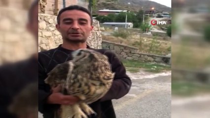 Yaralı halde bulduğu baykuşu tedavi edip doğaya saldı