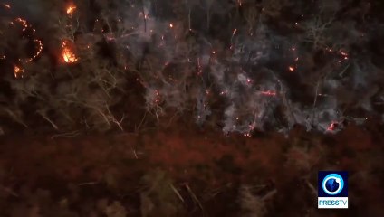 Massive wildfires devastate protected area of Bolivian forest