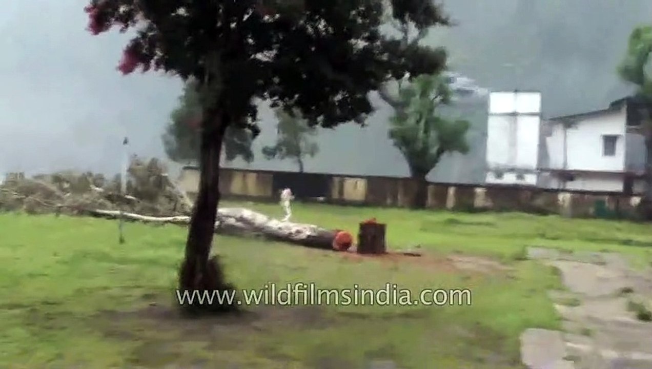 IAF in the biggest evacuation in the world ever_ Uttarakhand Floods