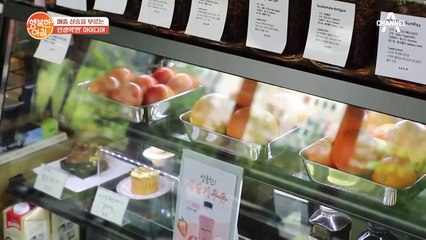 진열 방식이 매출을 결정한다!? 매출 상승 이끄는 쇼케이스
