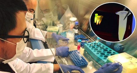 Bu ilaç dünyada ilk olacak! Tüm varyantlarda etkili olması bekleniyor