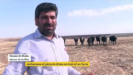 Sécheresse : inquiétude en Irak et en Syrie avec des pénuries d’eau