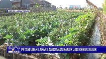 Para Petani di Kediri Berhasil Ubah Lahan Langganan Banjir Jadi Kebun Sayur