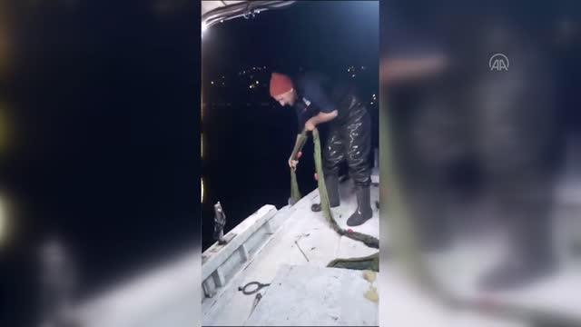 Trabzonlu balıkçının ağına takılan köpek balığına sözleri Karadeniz fıkralarını aratmadı